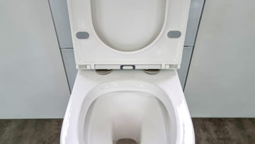 How Much is a Heated Toilet Seat? Shocking Insights Here!