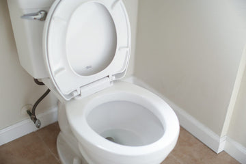 Why Does My Toilet Seat Turn Blue? Understanding the Mystery