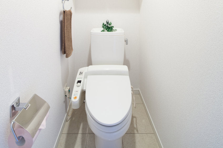 WiFi Enabled Toilet Systems: Revolutionizing Restroom Experiences