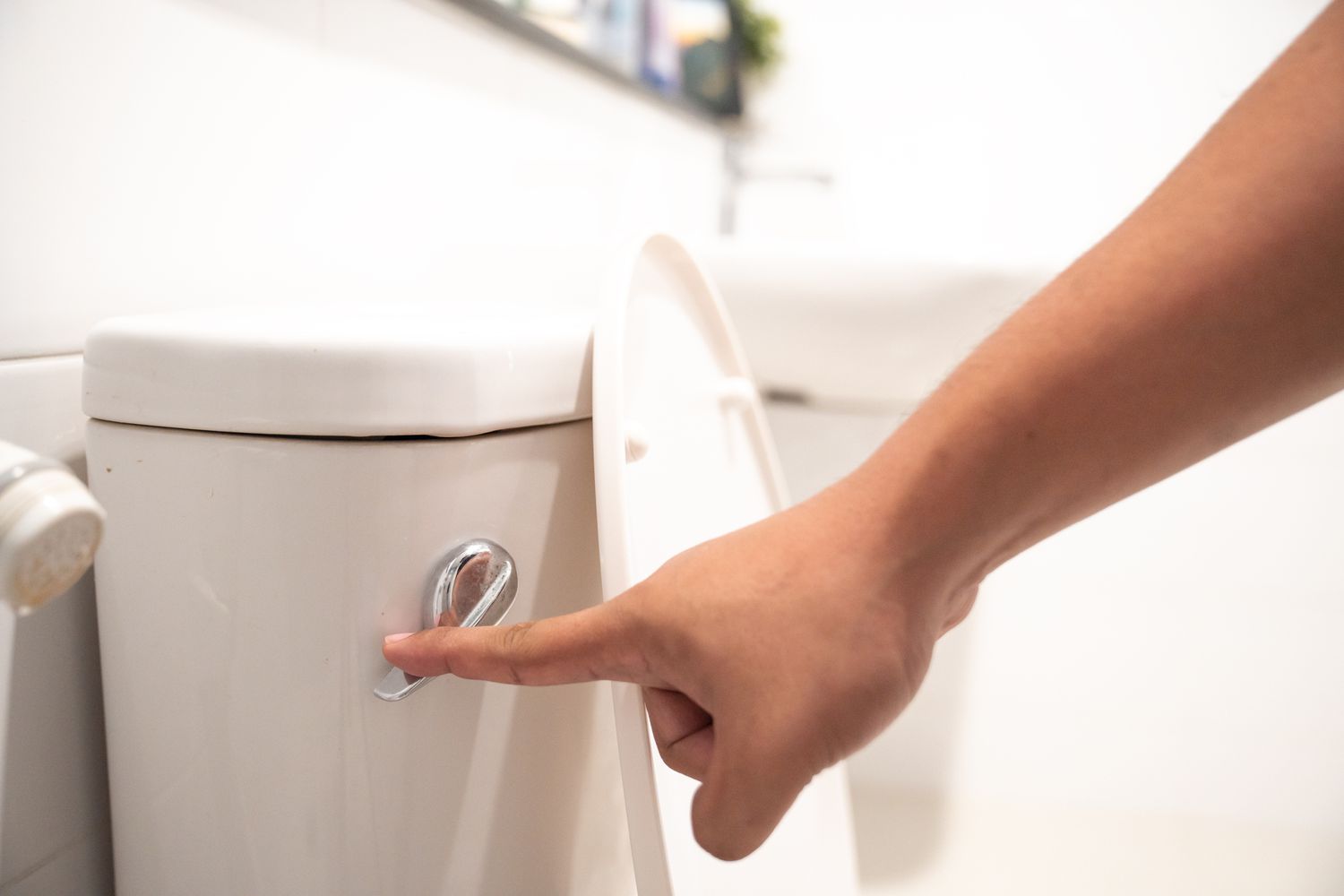 What is a Dual Flush Toilet and Why You Should Consider One?