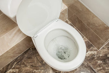 Features to Look for in a Water-Saving Toilet: What to Consider?