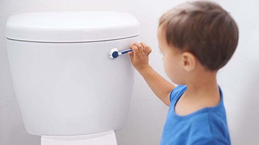 How to Clean Toilet Flush Valve: An Exclusive, Life-Changing Guide