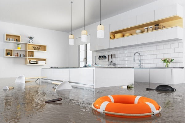 Professional Water Leak Detector: Unveiling Industry Insights