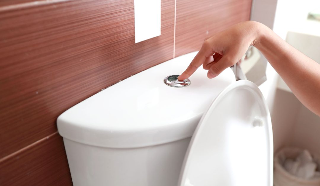 How to Flush Toilet Without Handle: Quick Solutions & Tips?