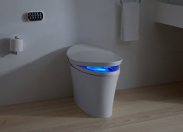 Innovative Toilet Flushing Systems: Revolutionizing Cleanliness